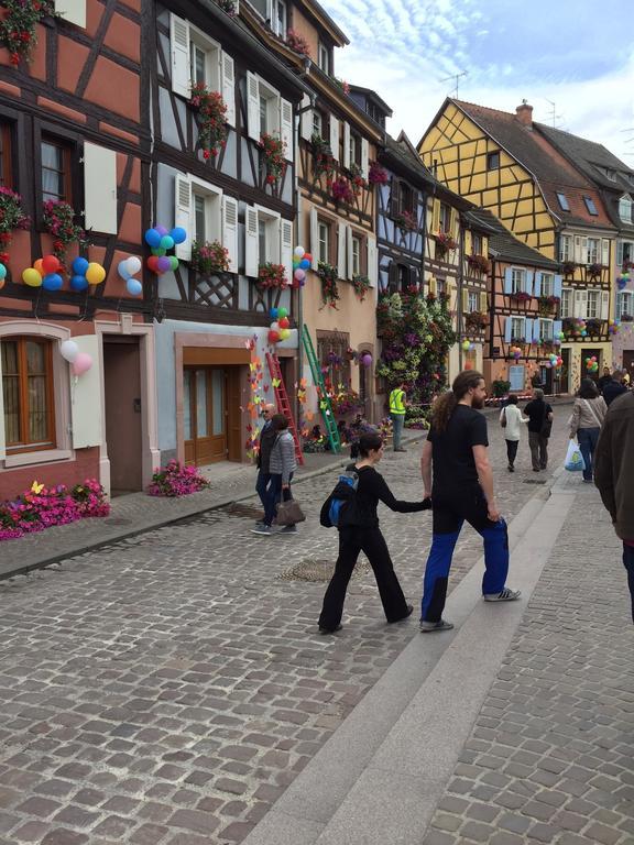 Les Appartements De Home Petite Venise Colmar Luaran gambar