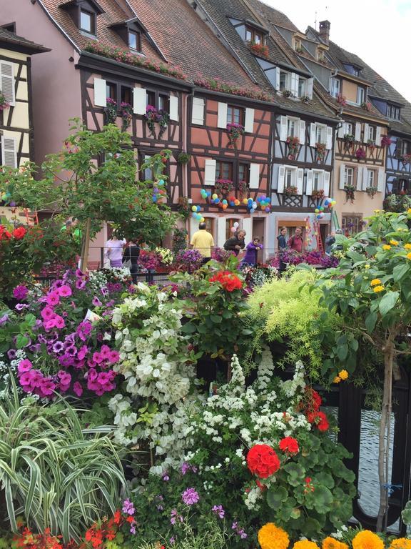 Les Appartements De Home Petite Venise Colmar Luaran gambar