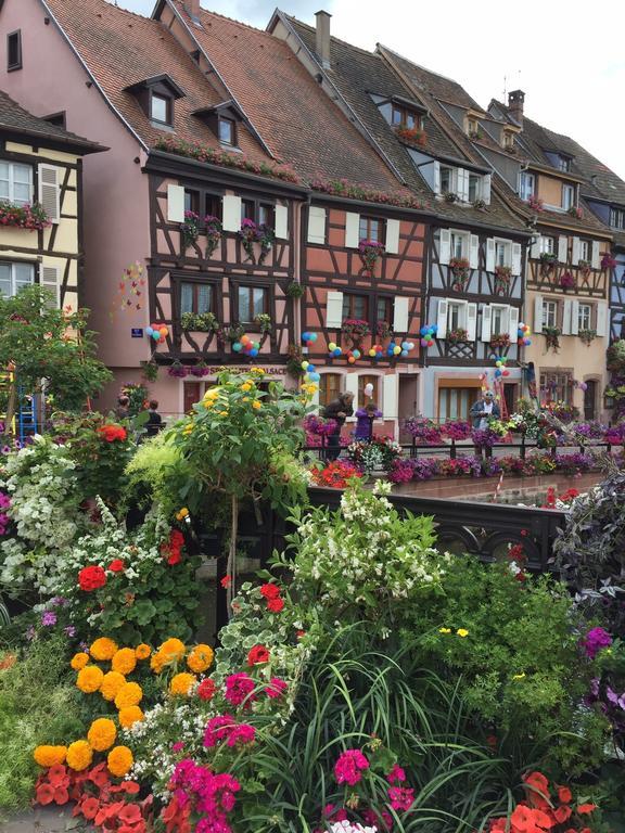 Les Appartements De Home Petite Venise Colmar Luaran gambar