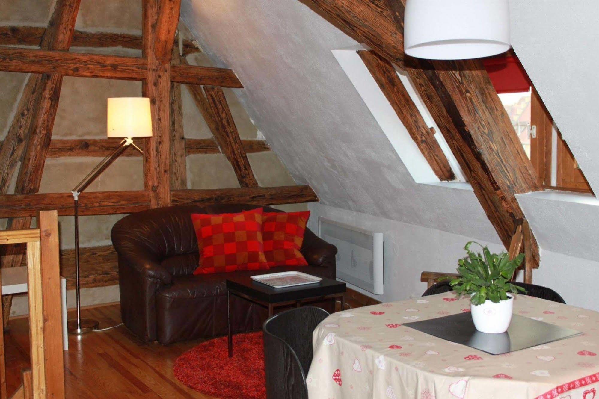 Les Appartements De Home Petite Venise Colmar Luaran gambar